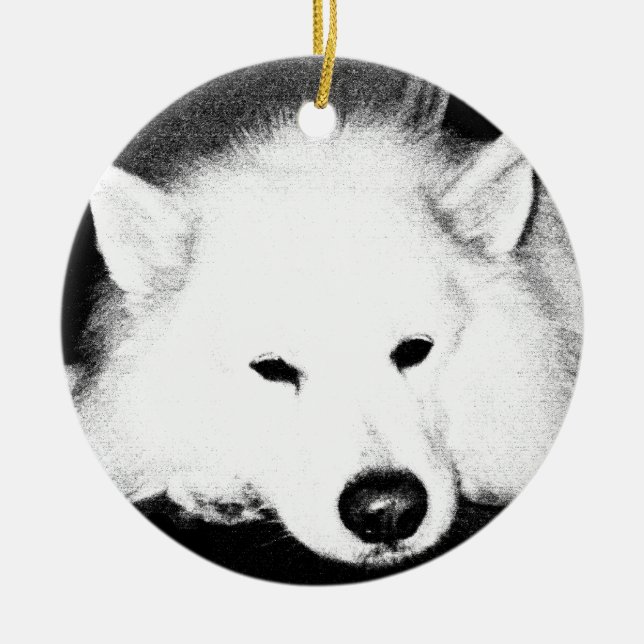 Beautiful furry Samoyed white dog Ceramic Ornament (Front)