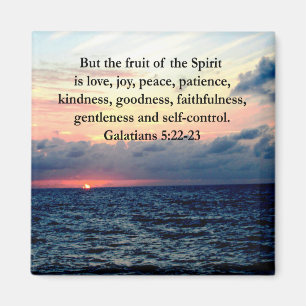BEAUTIFUL GALATIANS FRUITS OF THE SPIRIT MAGNET