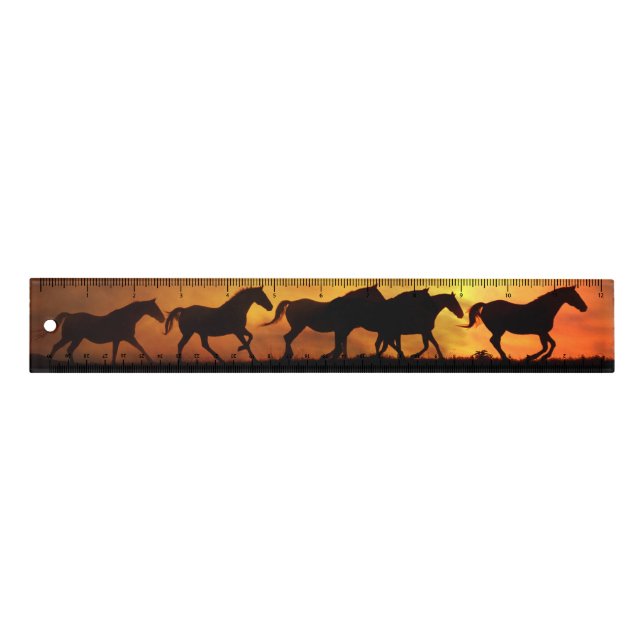 Beautiful Galloping Wild Horses Ruler (Front)