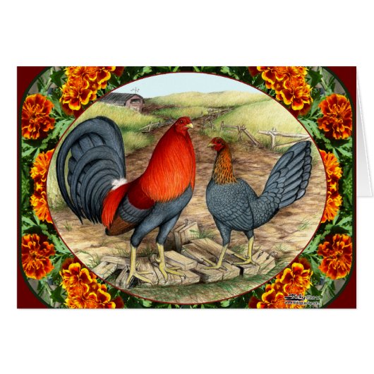 Beautiful Game Fowl (Front Horizontal)