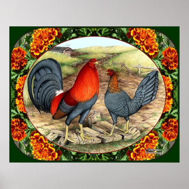Beautiful Game Fowl Poster (Front)