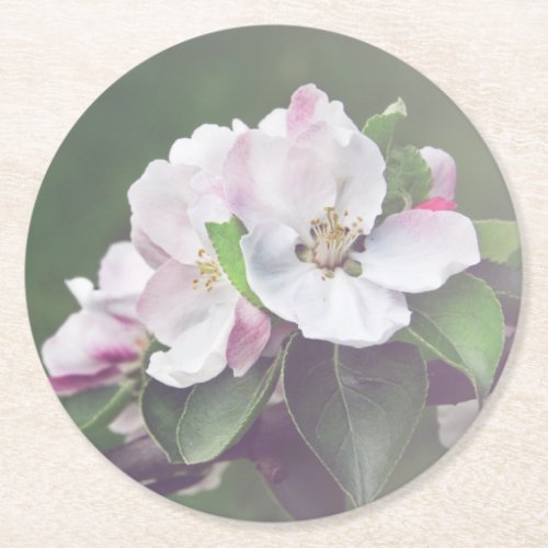 Beautiful Garden Blooms Spring Coasters