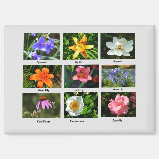 Beautiful Garden Flowers Magnet (Front)