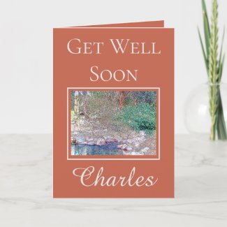 Beautiful Garden Get Well Soon