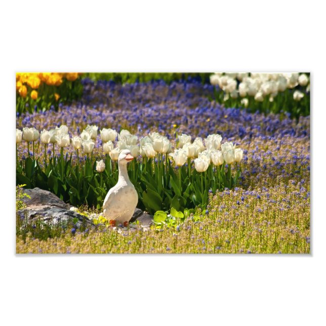 Beautiful Garden Photo Print (Front)