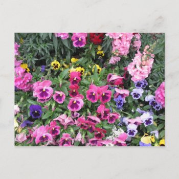 Beautiful Garden Postcard by DonnaGrayson at Zazzle