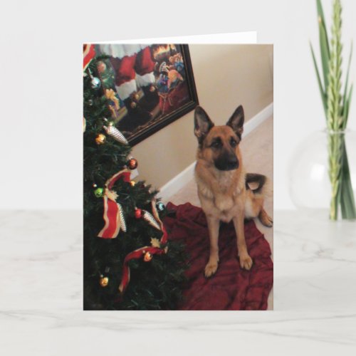 Beautiful German Shepherd Christmas Card