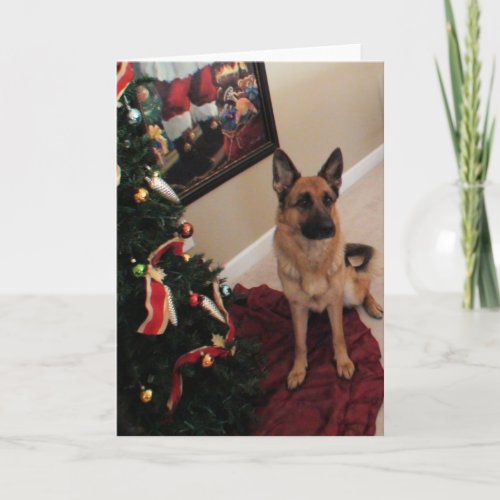 Beautiful German Shepherd Christmas Holiday Card