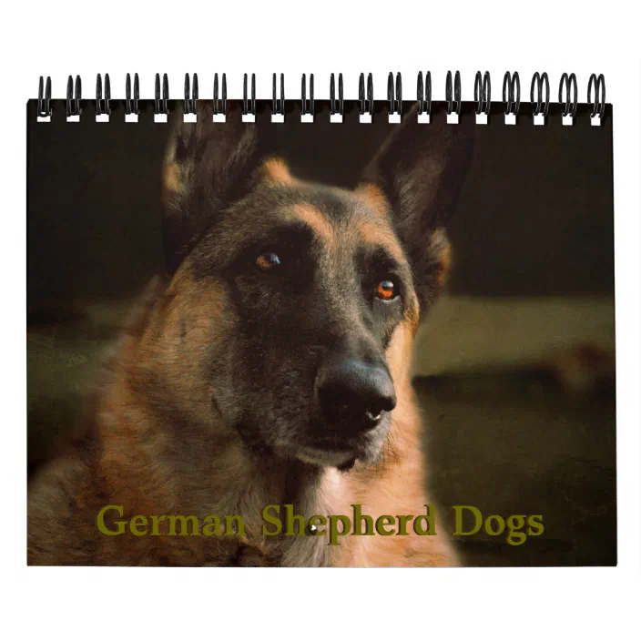 Gsd Calendar 2022 Beautiful German Shepherd Dog Calendar | Zazzle.com