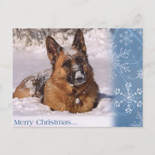 Beautiful German Shepherd Dog in snow Holiday Postcard