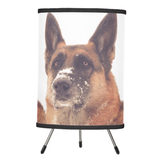 Beautiful German Shepherd Lamp (Front)
