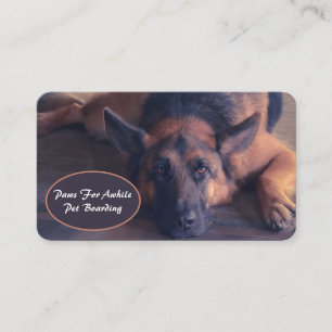 Beautiful German Shepherd Laying Down Business Card