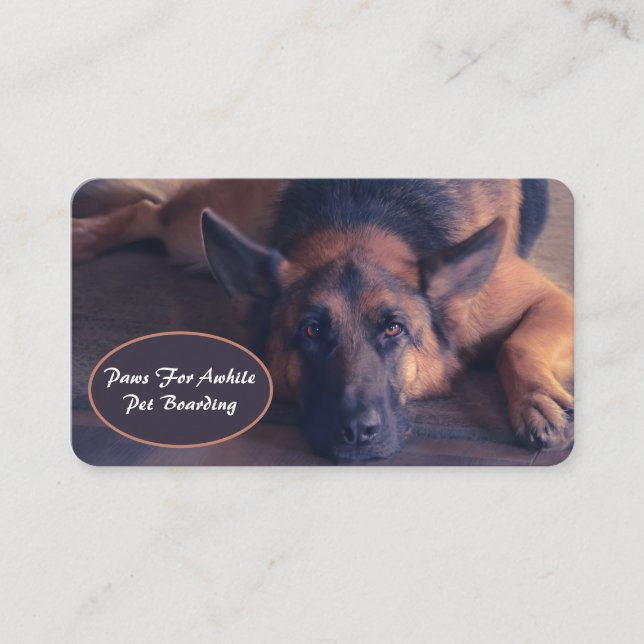 Beautiful German Shepherd Laying Down Business Card (Front)