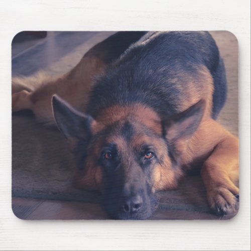 Beautiful German Shepherd Laying Down Mouse Pad