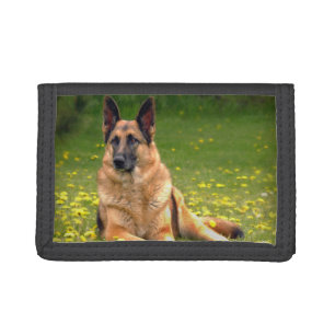 Beautiful German Shepherd Laying Down Photo Tri-fold Wallet