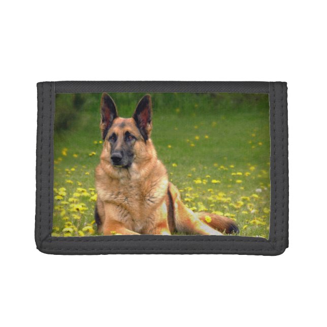 Beautiful German Shepherd Laying Down Photo Trifold Wallet (Front)