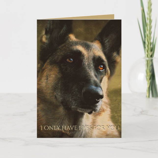 Beautiful German Shepherd Valentine's Day Card (Front)