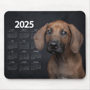 Beautiful German Shorthaired Pointer 2025 Calendar Mouse Pad