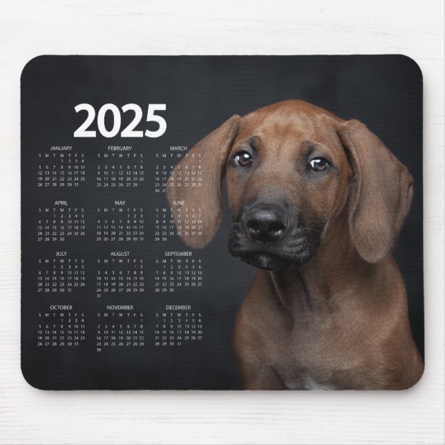 Beautiful German Shorthaired Pointer 2025 Calendar Mouse Pad (Front)