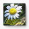 Beautiful Gionna Plaque w/ daisy