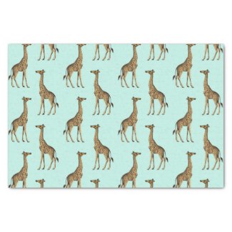 Beautiful Giraffes