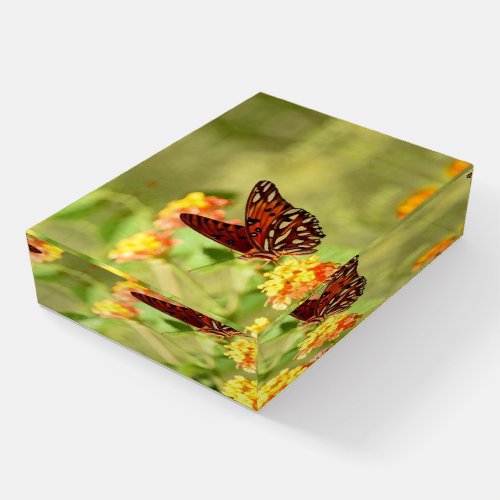 Beautiful Glasswing Butterfly Paperweight