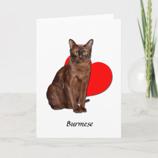 Beautiful Golden Burmese Cat Moggy Heart Love  Card