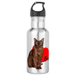 Beautiful Golden Burmese Cat Moggy Heart Love  Stainless Steel Water Bottle