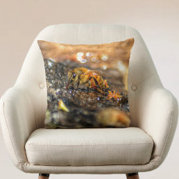 Beautiful Golden Honeybee Photographic Nature Throw Pillow