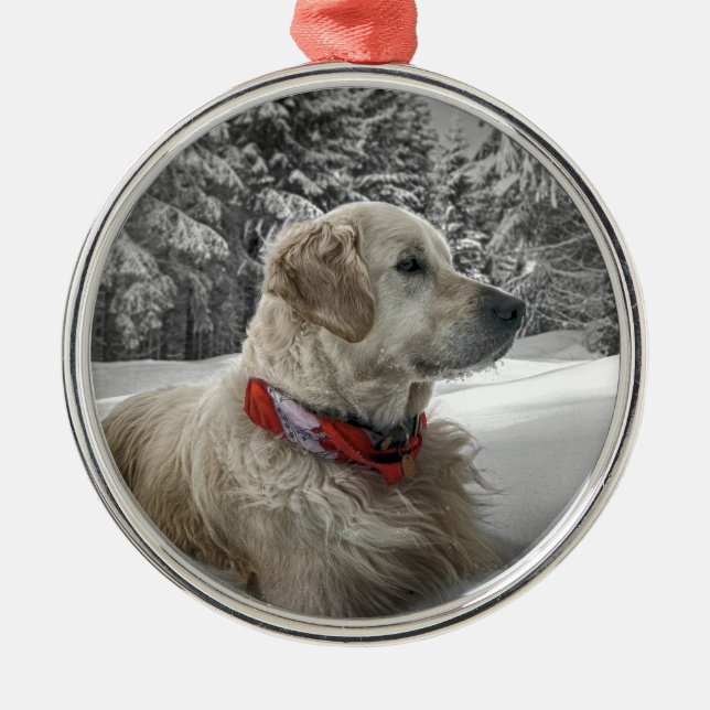 Beautiful Golden Retriever in snow Metal Ornament (Front)