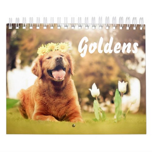 Beautiful Golden Retrievers Calendar