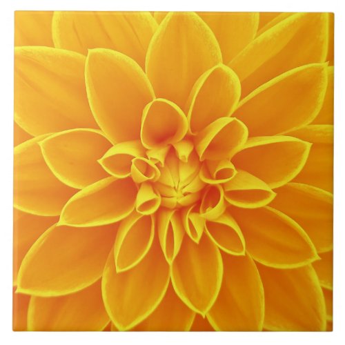 beautiful golden yellow dahlia flower colorful ceramic tile