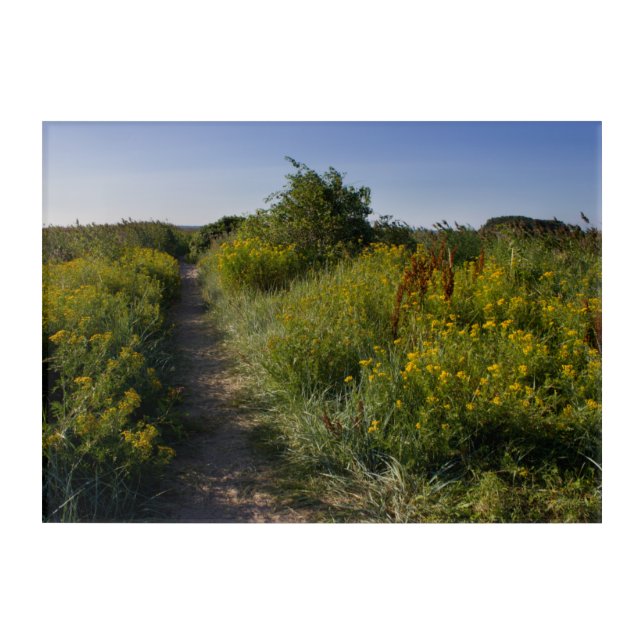 Beautiful grassy beach at Käsmu Estonia CC0851 Acrylic Print (Front)