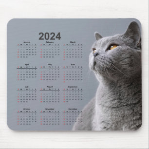 Beautiful Gray Cat 2024 Calendar Mouse Pad