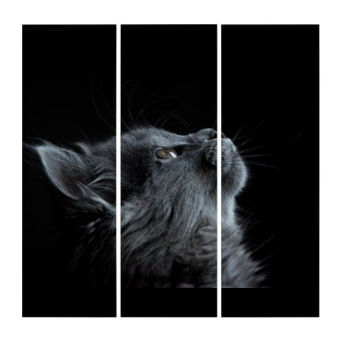 Beautiful gray cat looking up triptych