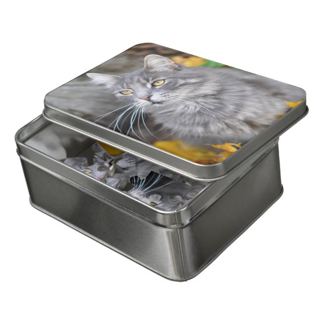 Beautiful Gray Cat Sitting In Fall Leaves Jigsaw Puzzle (Lid Open)