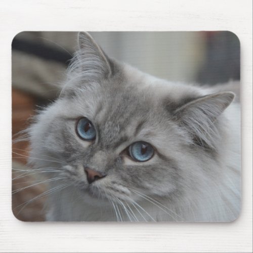 Beautiful Gray Cat with Blue Eyes Mouse Pad
