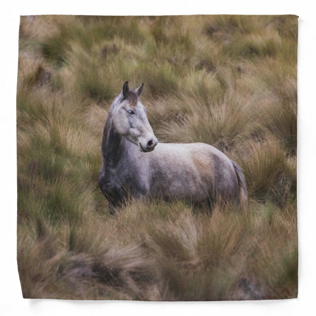 Beautiful Gray Colored Horse Bandana (Front)