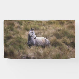 Beautiful Gray Colored Horse Banner