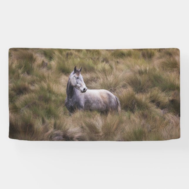 Beautiful Gray Colored Horse Banner (Horizontal)