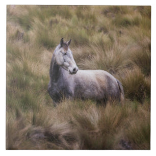 Beautiful Gray Colored Horse Ceramic Tile