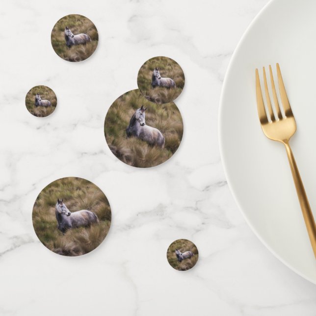 Beautiful Gray Colored Horse Confetti (Group)