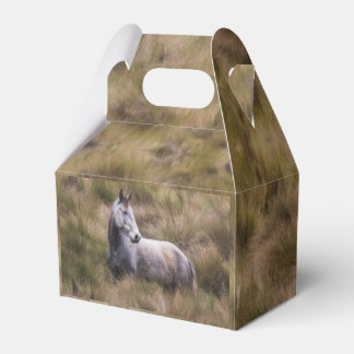 Beautiful Gray Colored Horse Favor Boxes