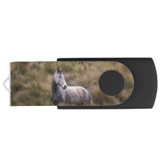 Beautiful Gray Colored Horse Flash Drive