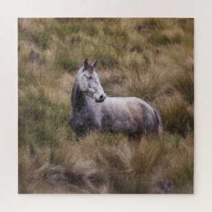 Beautiful Gray Colored Horse Jigsaw Puzzle
