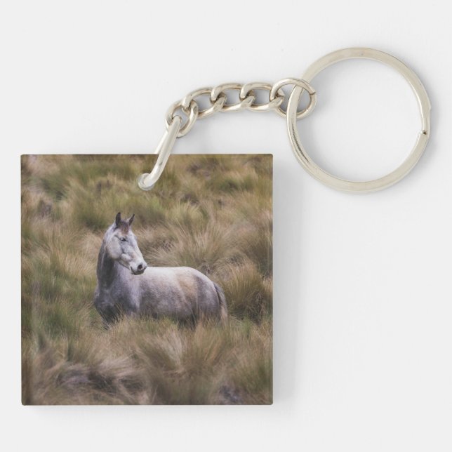Beautiful Gray Colored Horse Keychain (Back)