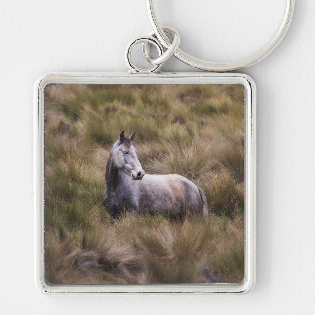 Beautiful Gray Colored Horse Keychain (Front)
