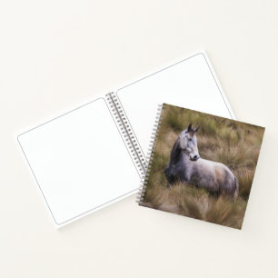 Beautiful Gray Colored Horse Notebook