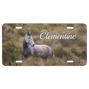 Beautiful Gray Colored Horse Personal License Plate