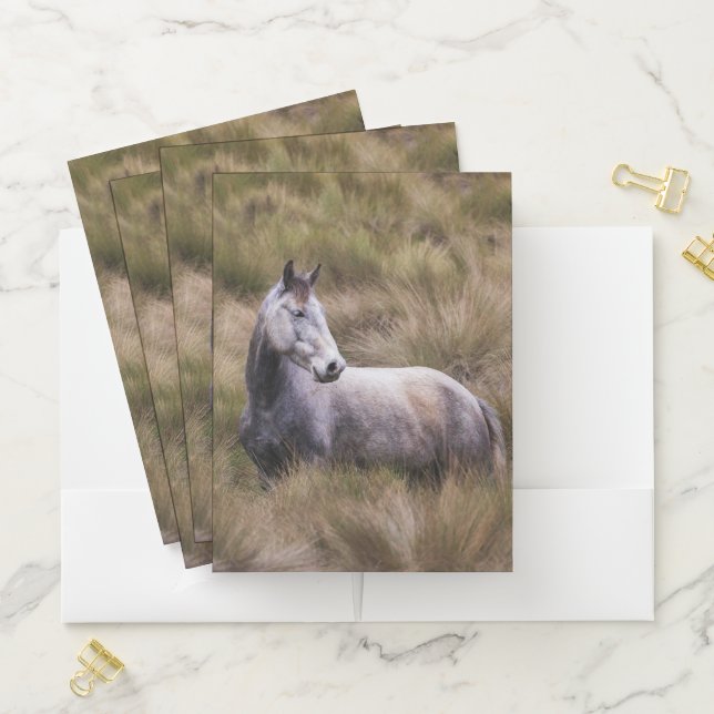 Beautiful Gray Colored Horse Pocket Folder (In Situ)